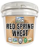 Certified Glyphosate Residue Free Hard Red Spring