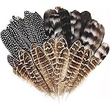 Natural Turkey Spotted Feathers, 30Pcs Pheasant Feathers Mardi Gras Feathers for Crafts DIY Hat Floral Arrangements Wing Quil