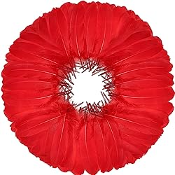 FeelfunFeather 120pcs Red Goose Feathers 6-8 Inch