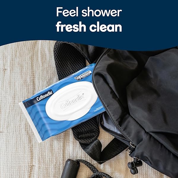 COTTONELLE FRESH FEEL FLUSHABLE WET WIPES, ADULT WET WIPES, 8 FLIP-TOP PACKS, 42 WIPES PER PACK (336 TOTAL WIPES), PACKAGING MAY VARY