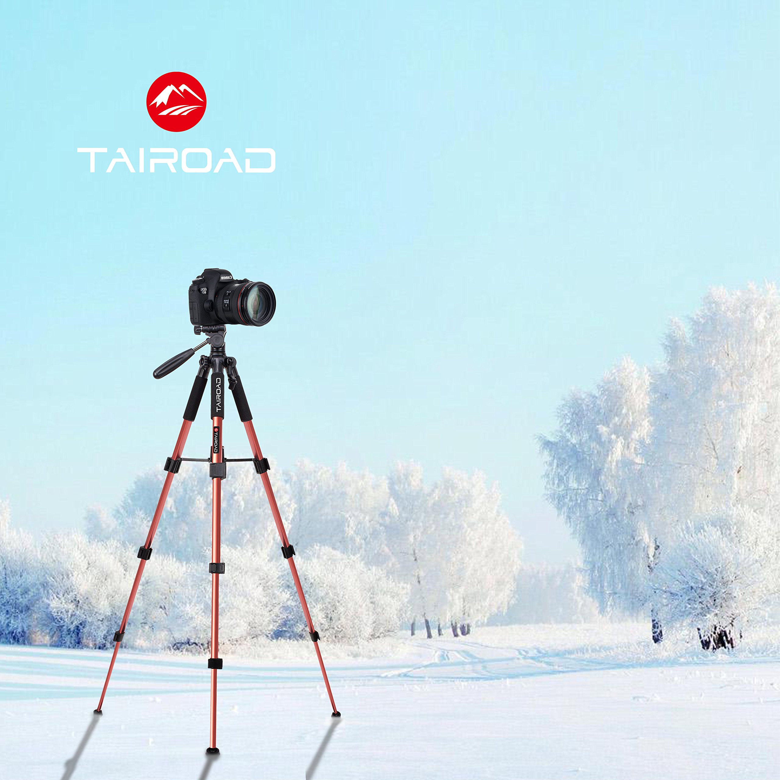 Tairoad Tripod 55\