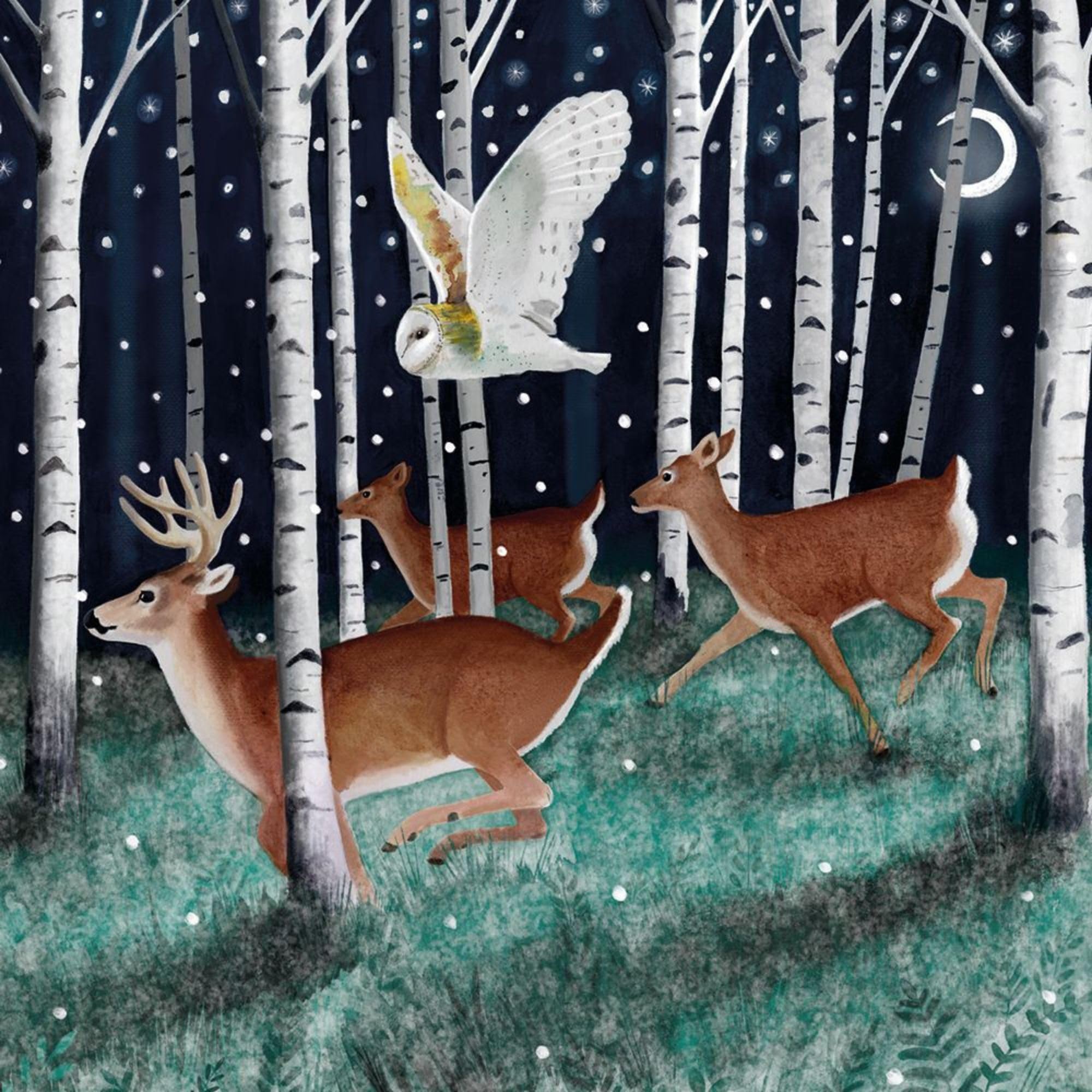 Museums & Galleries Pack of 8 Artistic Charity Christmas Cards - Silver Birch Forest - Lovely Illustration of a Winter Scene by Bex Parkin - 8 Cards of 1 Design