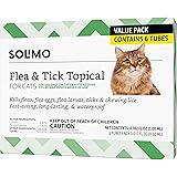 frontline for pregnant cats