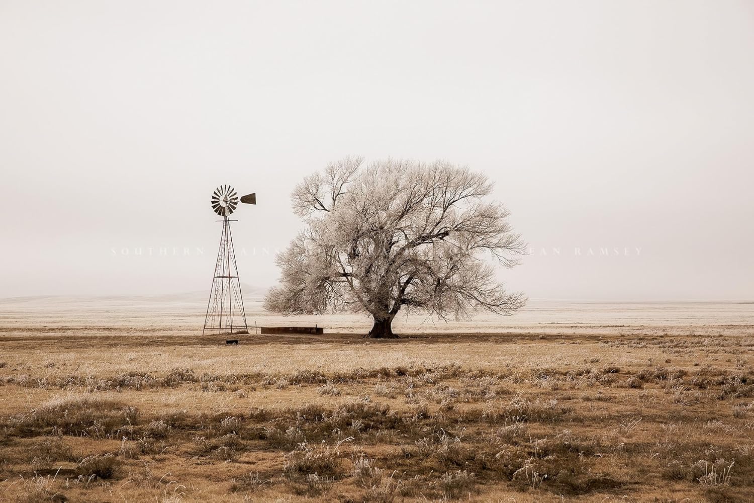 Photographs - Country Photography Print (Not Framed) Sepia Picture of Old Windmill and Tree Covered in Frost on Winter Day in New Mexico Western Wall Art Farmhouse Decor (5