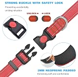 haapaw Reflective Dog Collar with Neoprene Padding Adjustable Nylon view 3