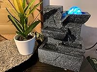 Review Image by Amazon Customer