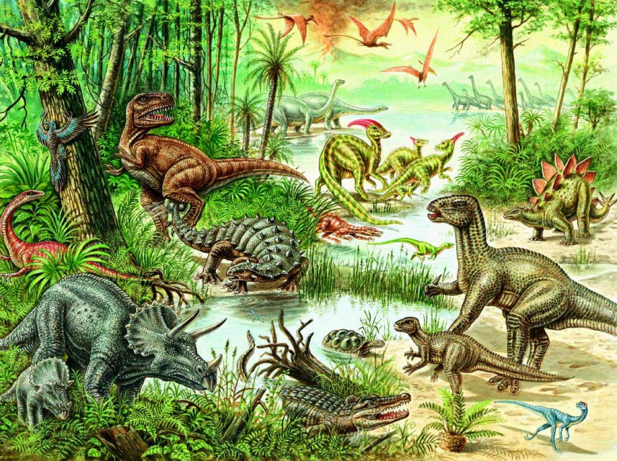 Ravensburger Dinosauri Puzzle da 200 pezzi XXL Amazon Ravensburger Dinosauri Puzzle da 200 pezzi XXL Amazon Giochi e giocattoli