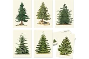Whaline 36Pcs Christmas Postcard Vintage Xmas Tree Post Card 6 Designs Green Beige Greeting Card for Winter Party Supplies, 4 x 6 Inch