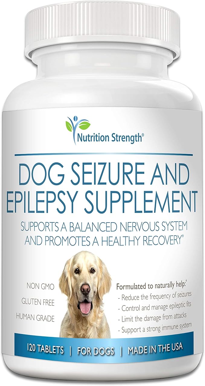 dog meds for seizures