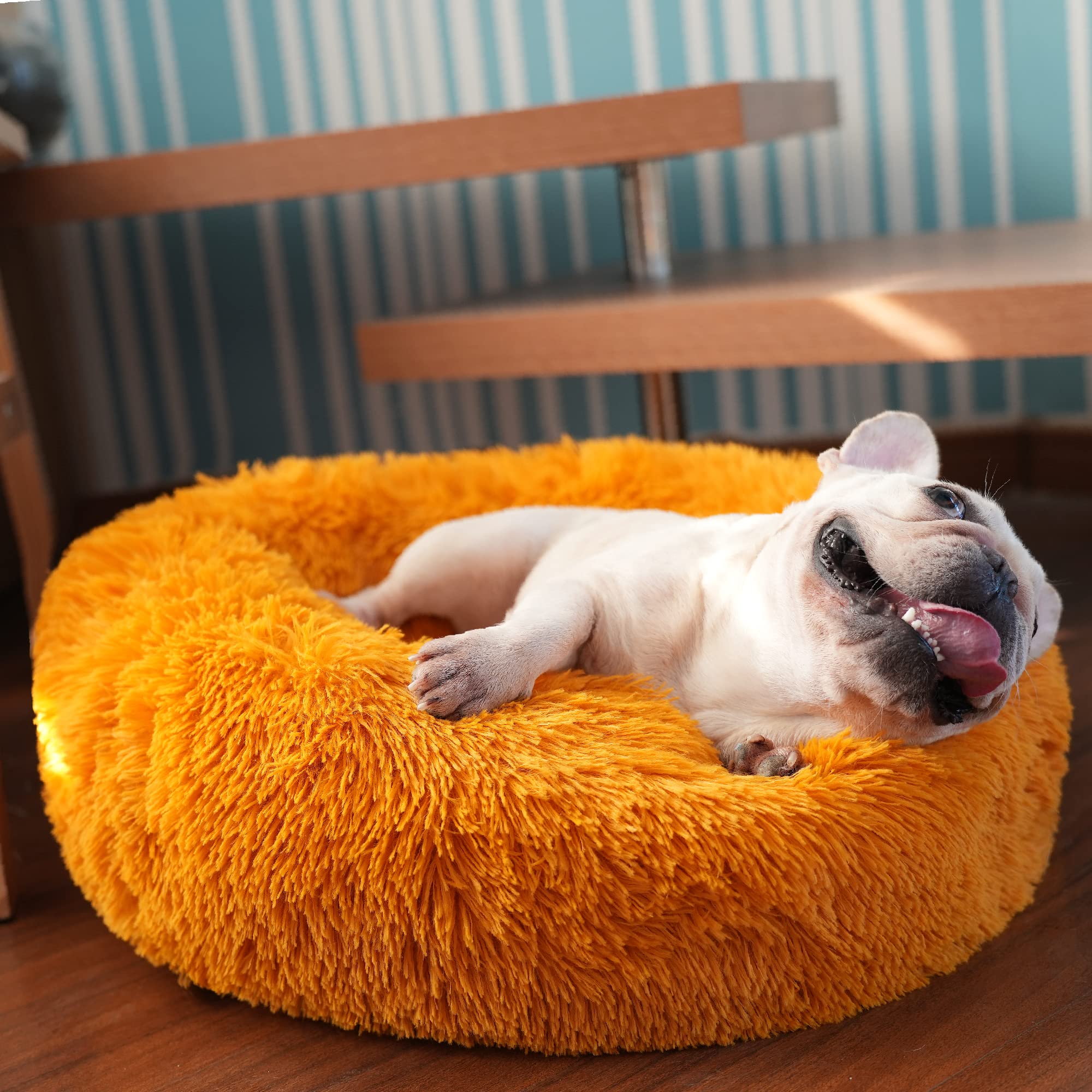 Photo 1 of Donut Dog Bed for Small Medium Dogs Washable Calming Bed with Anti-Anxiety Fits up to 25 lbs Pets,23 Inches Orange