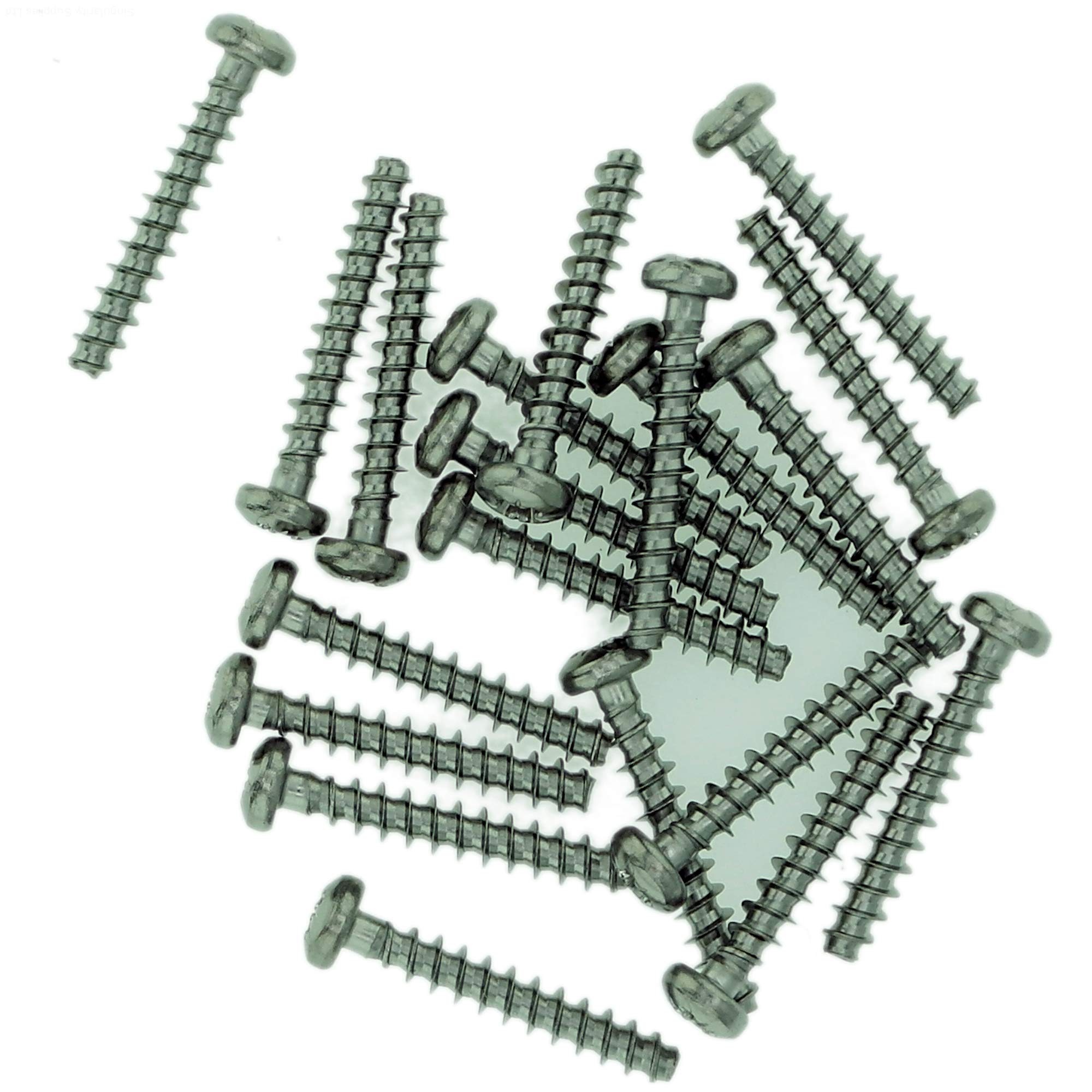 D4 (4mm x 18mm) Pozi Pan Screws for Plastic - Stainless Steel (A2) (Pack of 20)