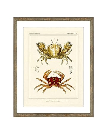 Get Decoracio de la paret vida a la costa For Android Decoracio De La Paret Vida A La Costa