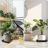 Sibosen 6 Pack Square Plant Saucer 29x29 cm 12 Inch Plastic Water Drip Tray view 6