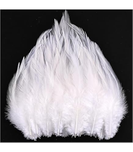 Volumoon 100 Pièces Naturelles Plume, Plumes D'oie, Attrape-Rêves