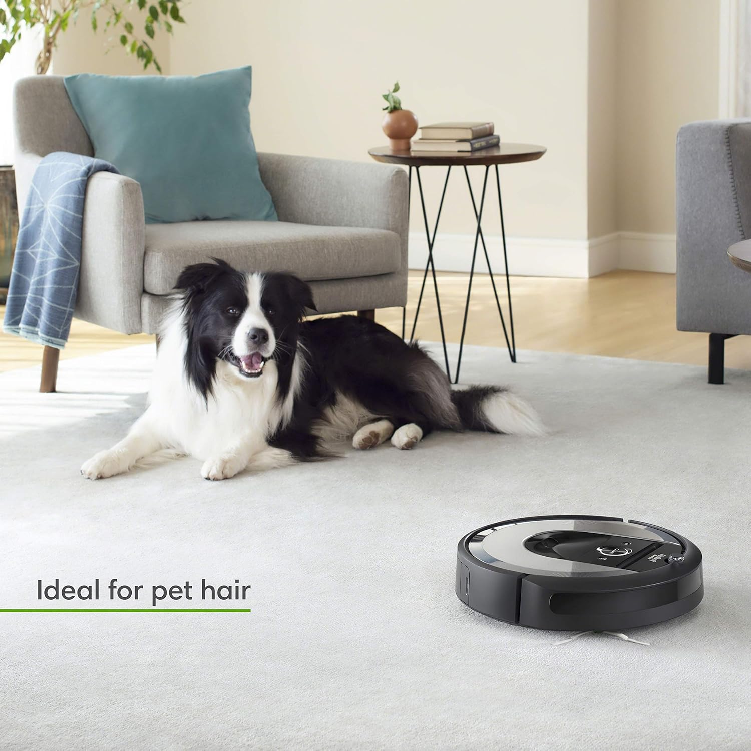 iRobot Roomba i6+ (6550) Robot Vacuum with Automatic Dirt Disposal-Empties Itself, Traps Allergens, Wi-Fi Connected, Works with Alexa, Ideal for Pet Hair, Carpets, + Digital Smart Mapping Upgrade: Home & Kitchen