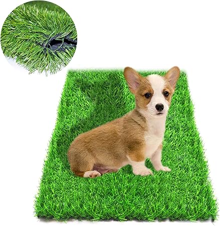 amazon dog grass pad