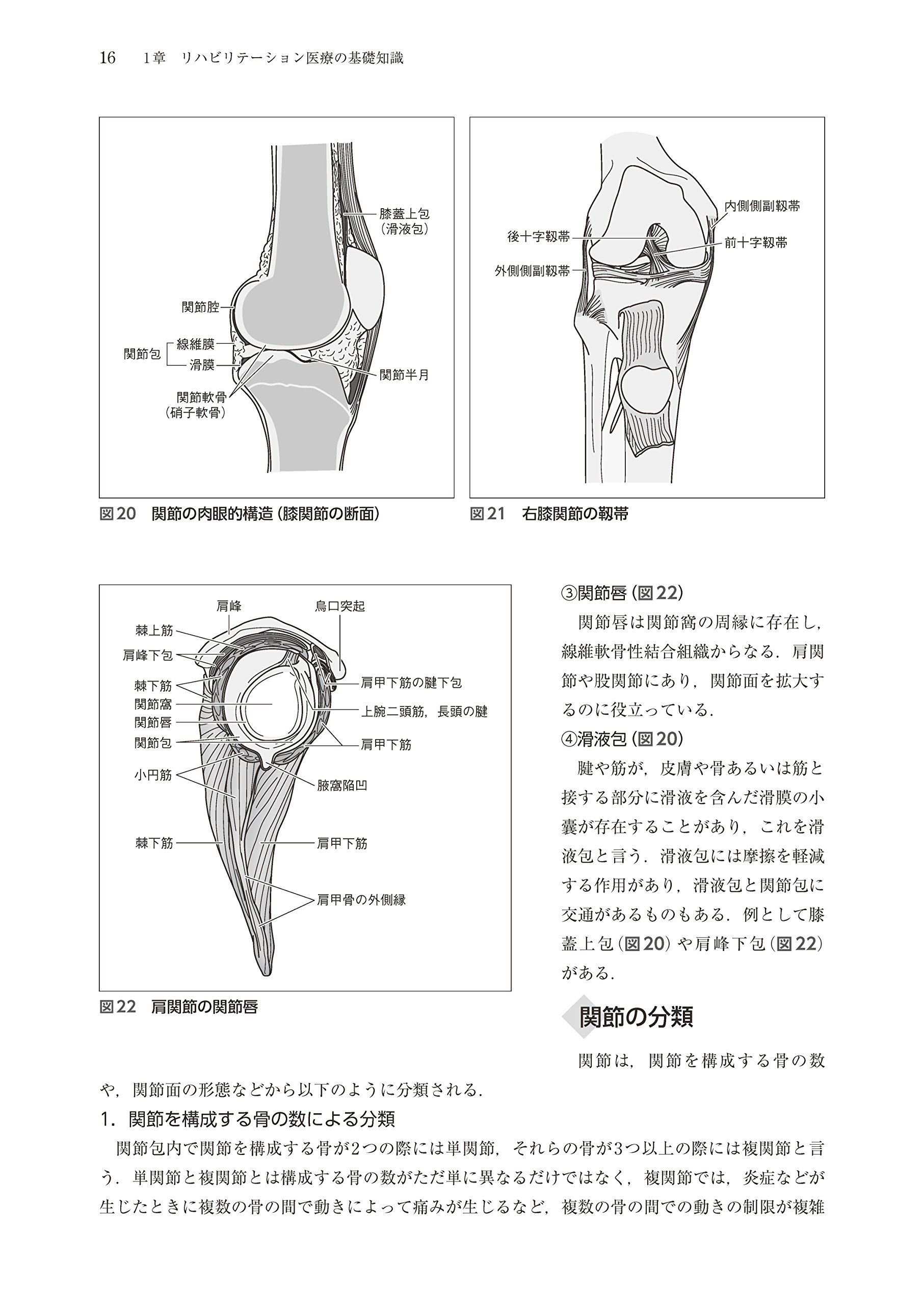 解剖学 生理学 運動学に基づく動作分析 奈良 勲 木林 勉 佐藤 香緒里 清水 順市 松川 寛二 本 通販 Amazon