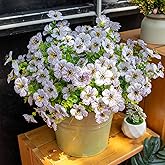 VDVST Artificial Flowers for Outdoors, 10 Bundles UV Resistant Artificial Outdoor Flowers, Not-Fading Silk Faux Flowers for Outdoor Planters for Home Garden Porch Decor, White