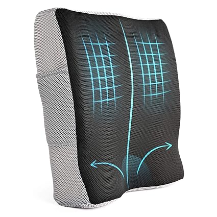 Windsleeping Latex Lumbar Pillow For Lower Back Pain Car Seat Back