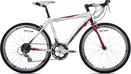 giordano libero 1.6 road bike