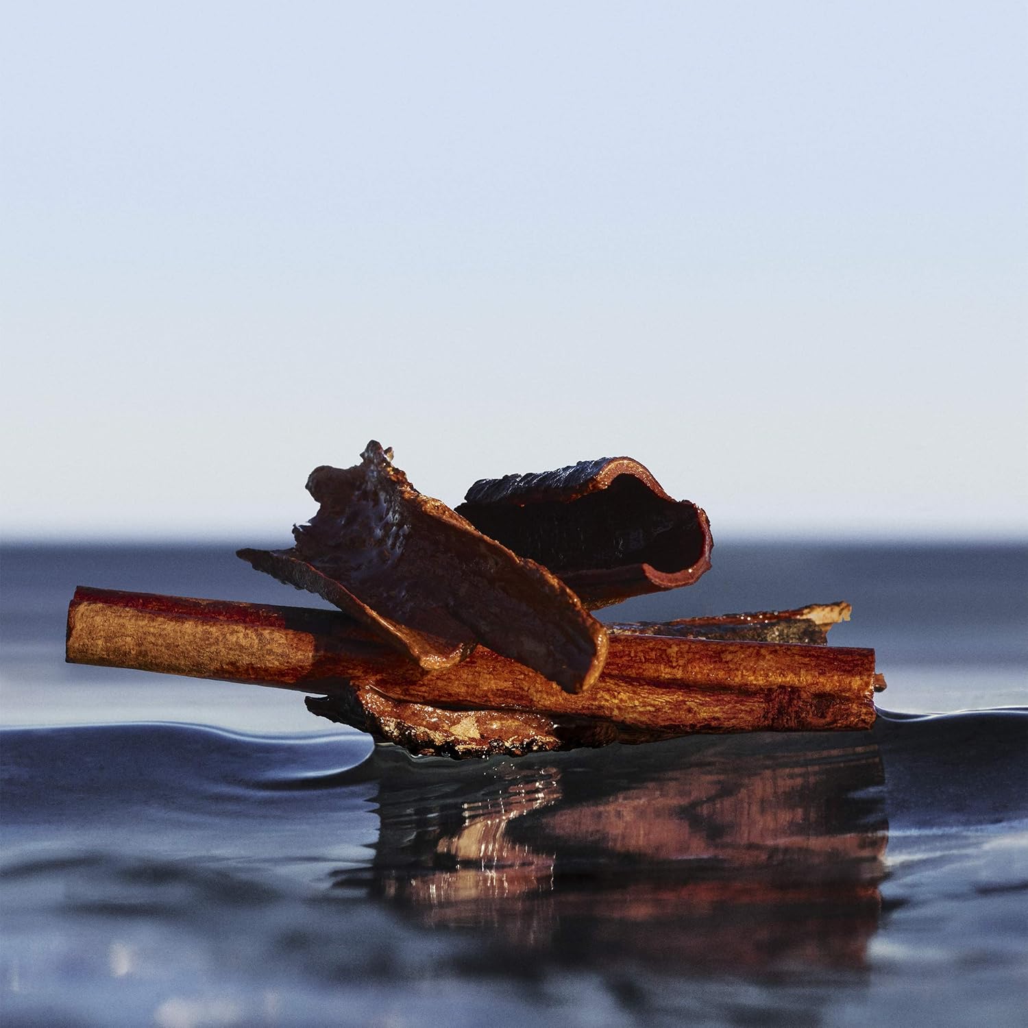 boss bottled infinite eau de parfum