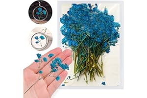 HQT Blue Dried Flowers Babysbreath for Resin, 42PCS Natural Real Pressed Gypsophila Flowers with Stem, Dry Flowers for Resin Jewelry DIY Phone Case Decor Crafts Candle Making