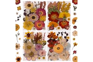 LUCISKY 82Pcs Dried Pressed Flowers for Resin Molds, Real Vintage White Natural Bulk Dry Floral Leave for DIY Art Crafts, Epoxy Jewelry, Candle, Soap Making, Nails Decors