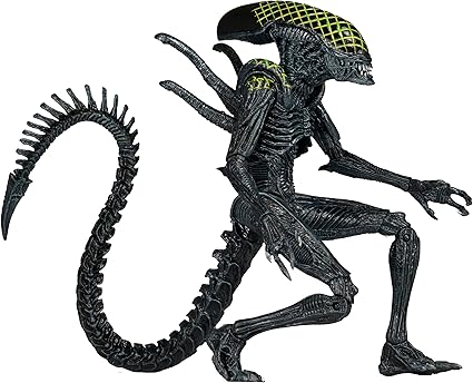 best gifts for 15 year old girl