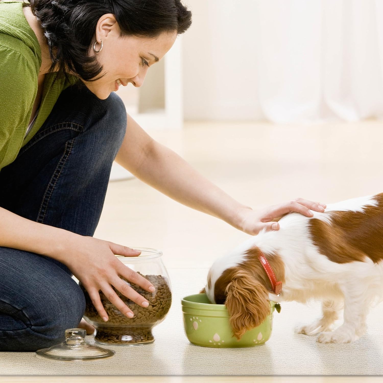 Look after animals. Холь животное. Домашние питомцы и человек. Look after dog. The wild animal sanctuary.