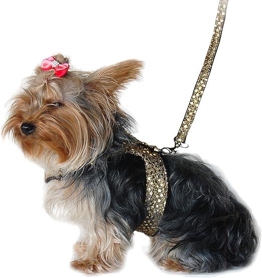 chappie tinned dog food