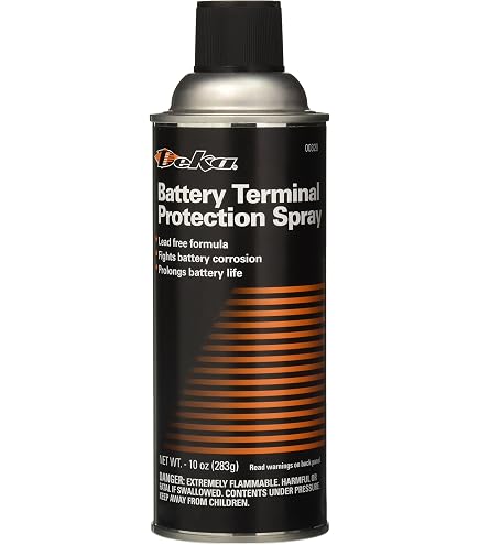 Gumout 29224 Battery Protector, 141 g, Batteries - Amazon Canada