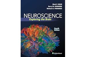 Neuroscience: Exploring the Brain, Fourth Edition by Mark F. Bear, Barry W. Connors, Michael A. Paradiso (2015) Hardcover