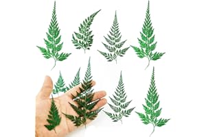 HEISENLIN Pressed Dried Flowers Leaves, 42PCS Real Natural Ferns Dried Leaves Plant for Pressed Leaf Art DIY Crafts Embellishment Decors Craft Resin Jewelry Card Making DIY Scrapbooking