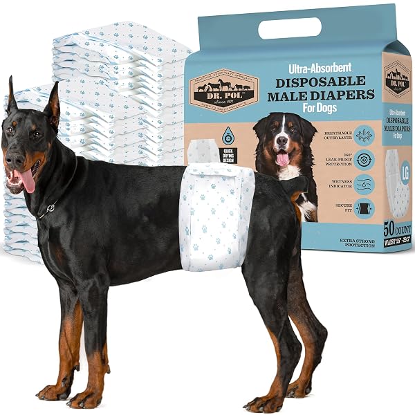 DR. POL MALE DOG DIAPERS – SUPER ABSORBENT,...