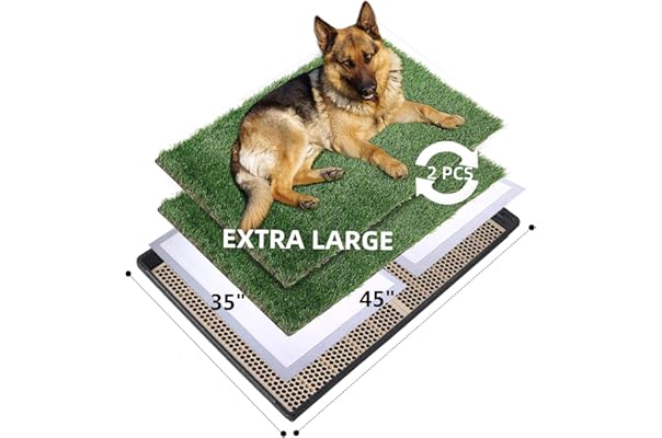 dog litter box amazon