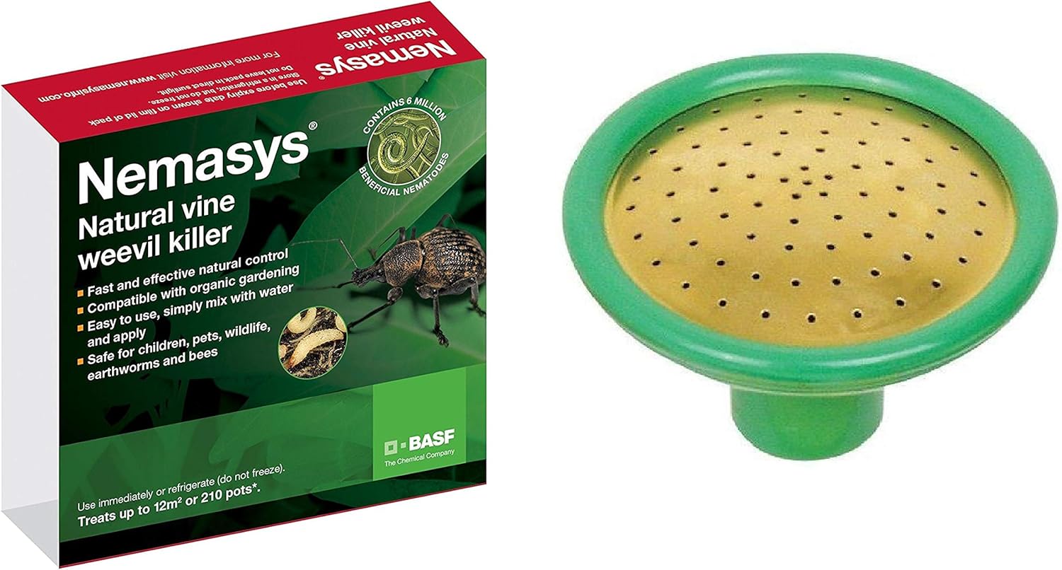 Vine Weevil Nematodes 12sqm Coarse Watering Can Rose Garden Pest Control Amazon Co Uk Garden Outdoors