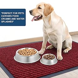 OLANLY Front Door Mat Indoor Outdoor