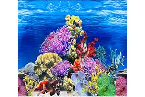 XCNO Fish Backgrounds Paper Double Sides Undersea Aquarium Background Poster Colorful Sea Anemone Fish Tank Background Sticker Decorations 12"x 25"