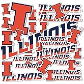 Desert Cactus University of Illinois Sticker Fighting Illini U of I Vinyl Decals Laptop Water Bottle Car Scrapbook Sheet T1 (Type 1-1)