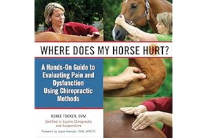 Where Does My Horse Hurt?: A Hands-On Guide to Evaluating Pain and Dysfunction Using Chiropractic Methods