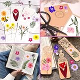 Cruzix 140 Pieces Dried Pressed Flowers for Resin DIY Crafts view 2