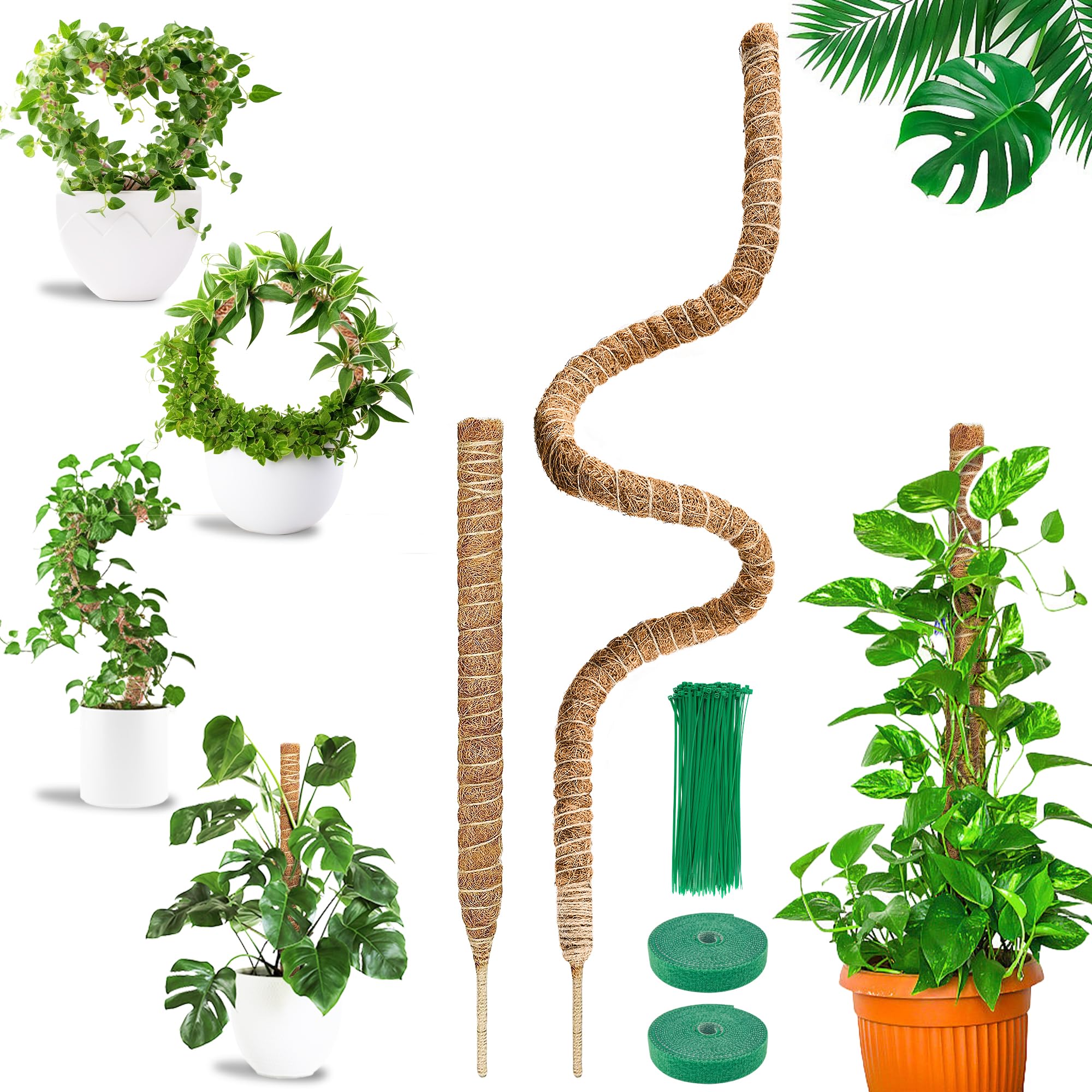 COZCLAM Moss Pole for Monstera, 63'' & 23.6'' Bendable Cheese Plant Support pole, Coco Coir Pole for Indoor Climbing Plants, Monstera Support, Plant Sticks Support for Creeper Plants Grow Upwards