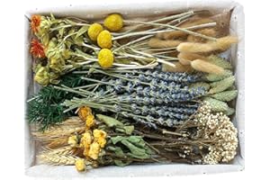 XIN'S CONVEY DIY Natural Dried Flower Set, Bulk Dried Flowers for Vase, Dried Flowers with Stems, Dried Roses, Mini Dried Flower Bouquets.(Brown)