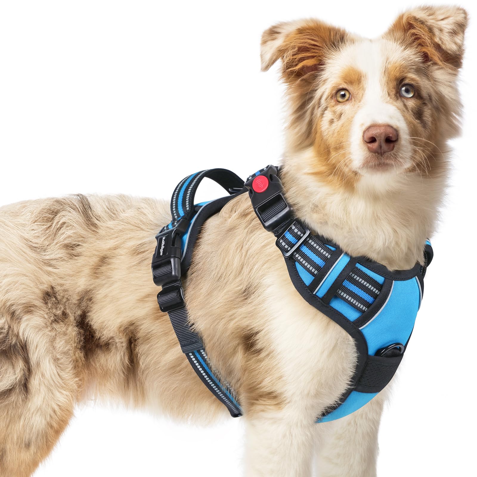 rabbitgoo Dog Harness Medium with Neck Release Buckle, Adjustable No Pull Harness with Front Back Clips, Soft Padded with Easy Control Handle, Reflective Pet Walking Vest, Sky Blue, M