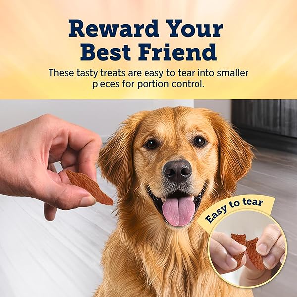 BLUE BUFFALO TRUE CHEWS PREMIUM JERKY CUTS DOG TREATS, MADE IN THE USA WITH NATURAL INGREDIENTS, BEEF, 10-OZ BAG