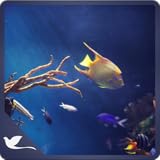 Calm Aquarium - Meditate with Fishes