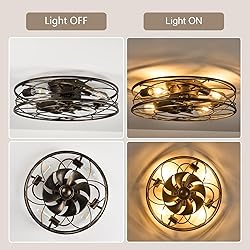 Flush Mount Caged Ceiling Fan: 20" Caged Ceiling
