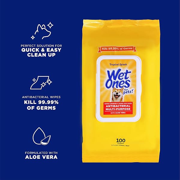 WET ONES FOR PETS MULTIPURPOSE DOG WIPES WITH ALOE VERA, TROPICAL SPLASH SCENT – PET BATHING WIPES WITH WET LOCK SEAL FOR DOG PAWS AND ALL-OVER USE, 100 COUNT – 3 PACK