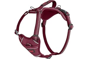 HALTI Anatomy Dog Harness with Handle - Provides Your Dog Freedom of Movement for Comfortable Walking. 3 Leash Attachment Poi