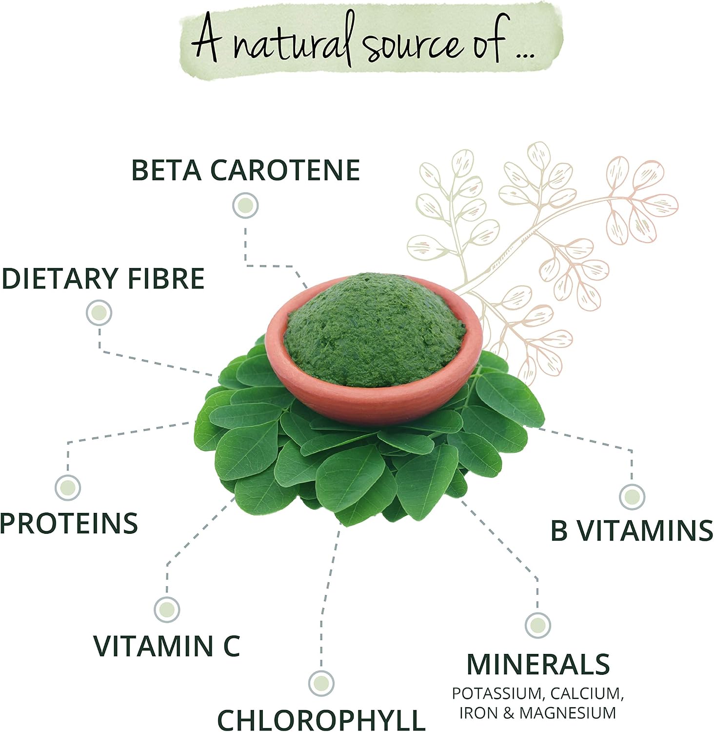 Vegavero Organic Moringa Oleifera Capsules 1800 mg, 270 count (Pack of 1) - Image 5